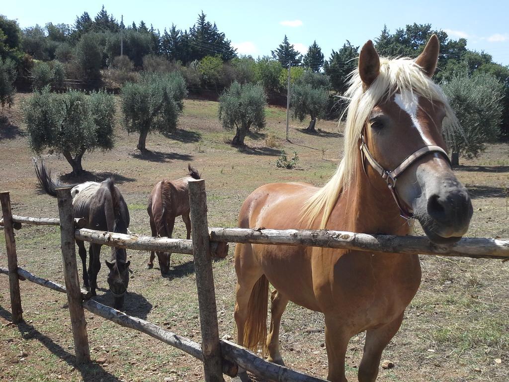 Agriturismo Terranova Pisticci Buitenkant foto